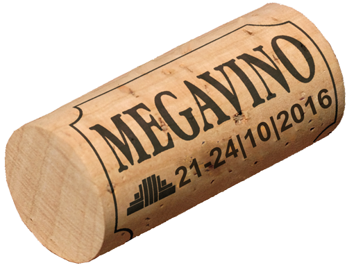 Megavino 2016