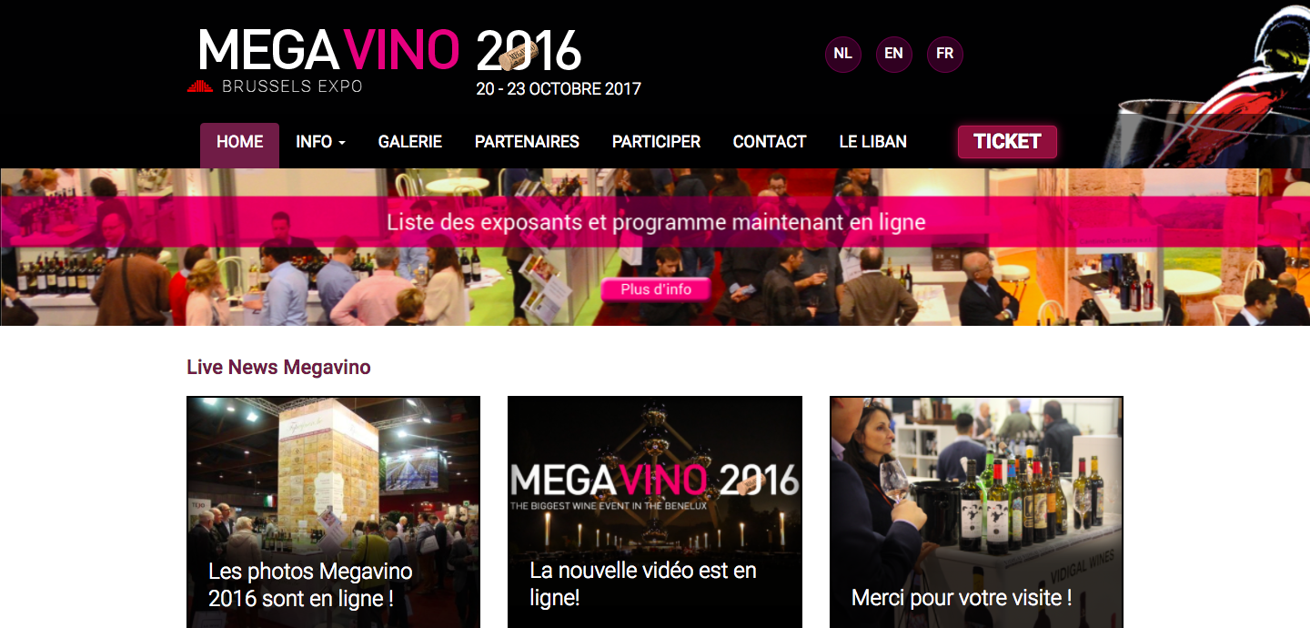 Capture d'écran de Megavino 2016